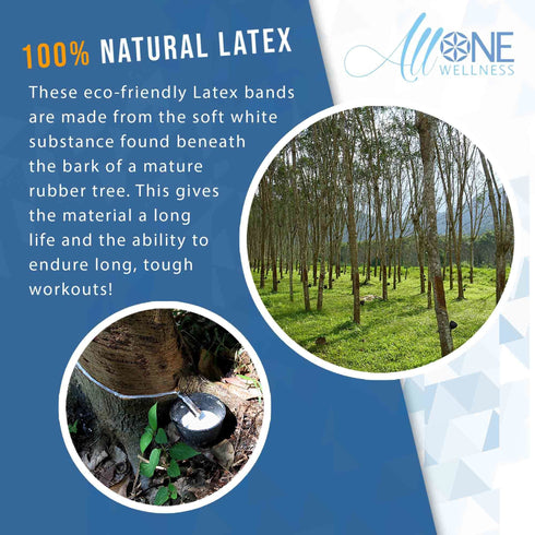 Resistance Bands for Legs and Butt | Set of 5 Band Loops 12 Inch - AllOne Wellness