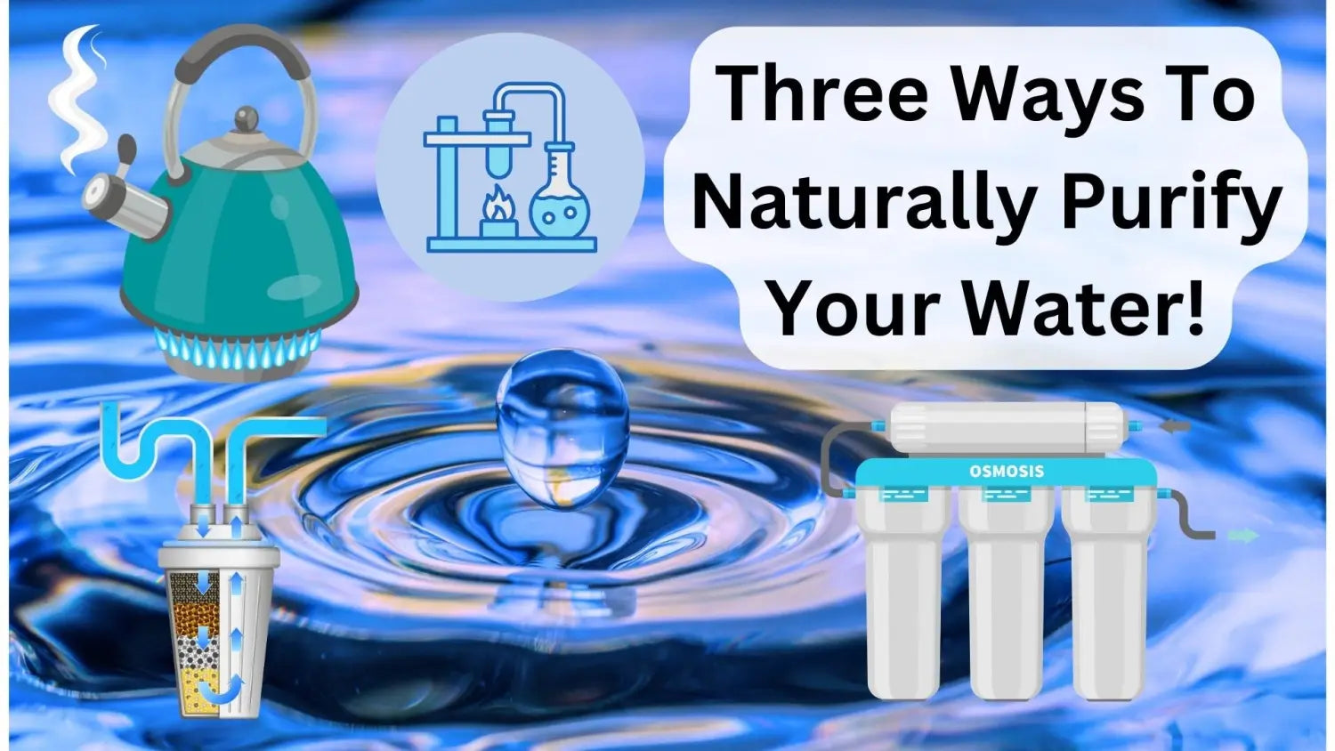 ¡Tres formas de purificar el agua de forma natural!